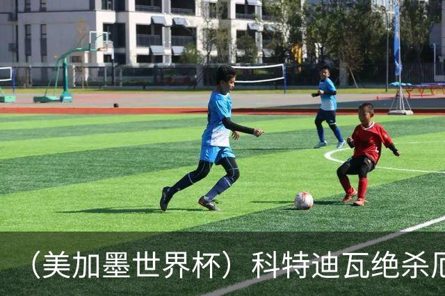 （美加墨世界杯）科特迪瓦绝杀厄瓜多尔 瑞典5:1大胜突尼斯